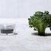 Broccoli - Vegan Mineral Eyeliner