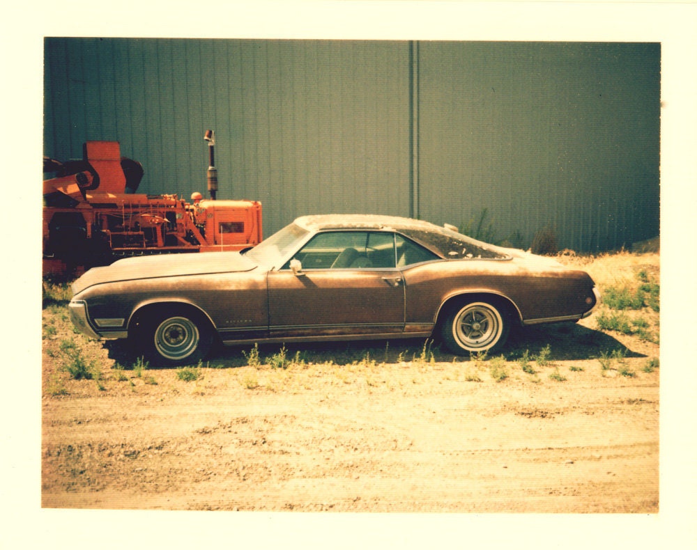 Rootbeer - 8x10 Photo Print from Polaroid