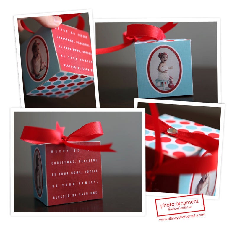 Aqua and Red Photo Cube Ornament or Decoration