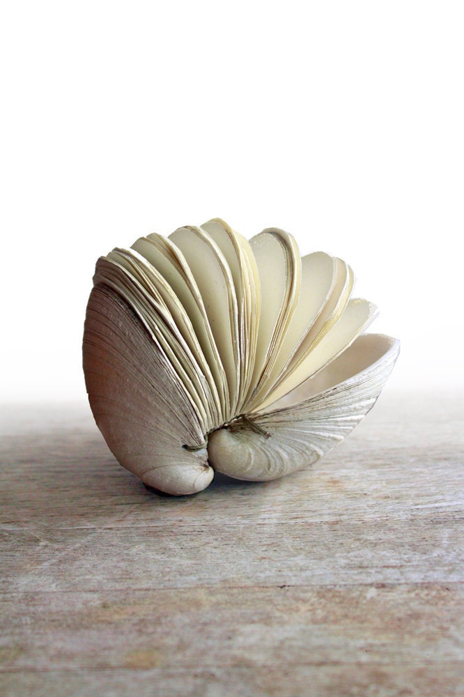 Offering No. 39 - Handstitched Clamshell Book Sculpture