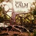 Keep Calm and Carry On - Set of 3 4x6 Photo Postcards - Gnarled Tree of Stress