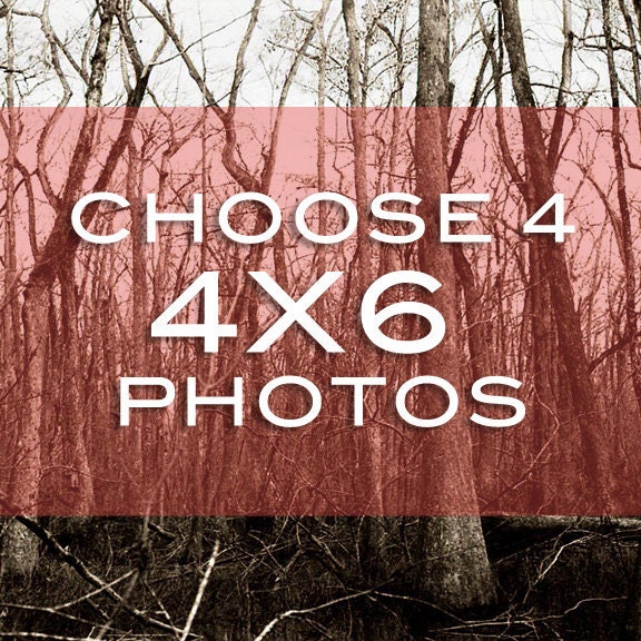Choose any 4 photos to be printed at 4x6 - variety pack