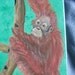 OOAK hand painted Baby Orangutan and Keel-Billed Toucan cigar box