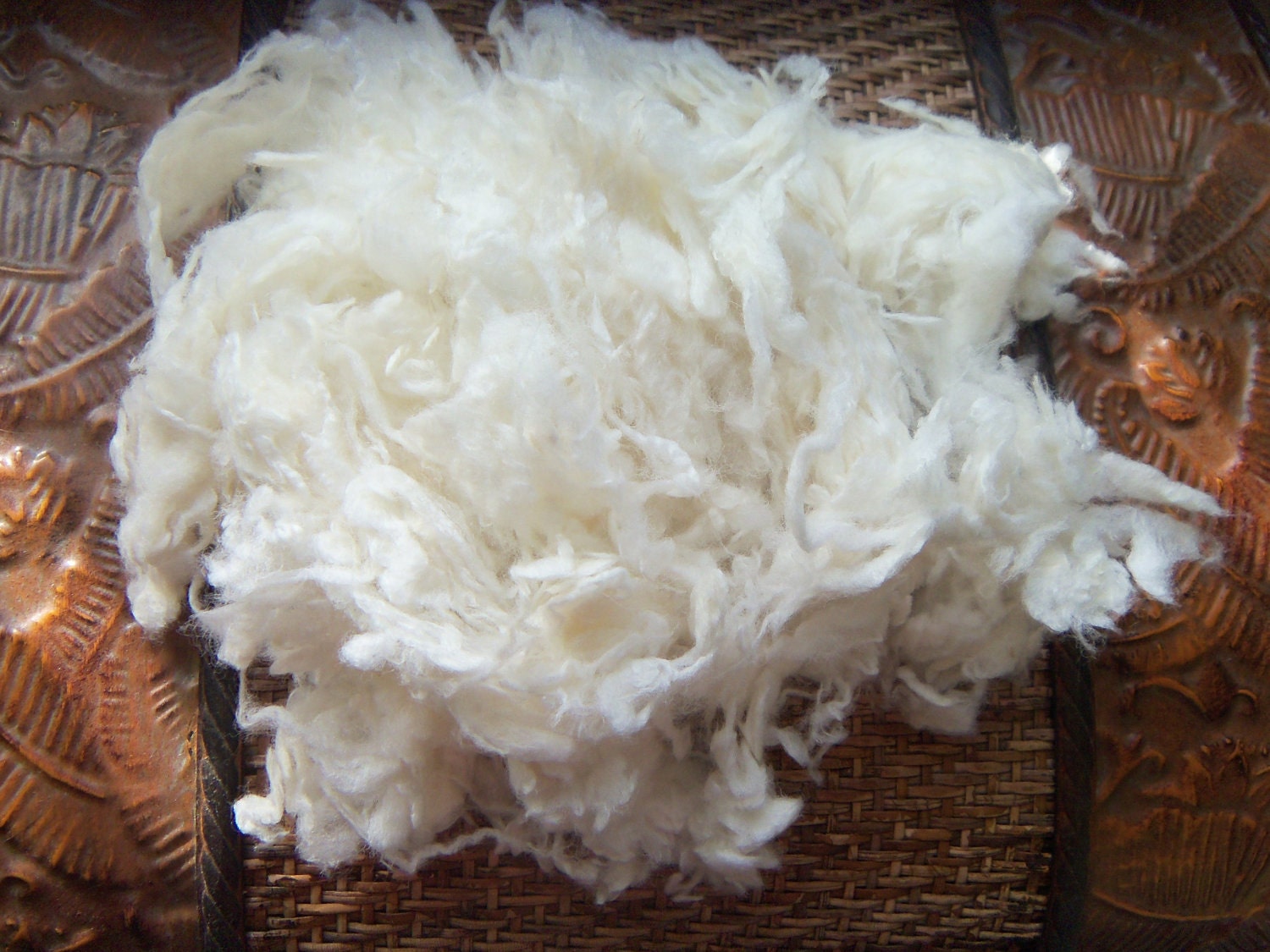 Mary had a little lamb 21 micron Merino Lamb locks for felting or spinning