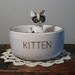 Hand Painted Vintage "Kitten" Cat Food or Water Bowl with Blue Cat Illustration Inside