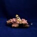 Brain Specimen Jar Necklace - Handmade Jewelry