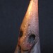 Lisa Snellings Hand Sculpted Poppet   -The Ancient -