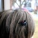 Kanzashi style flower bobby pin set - grey, black, white and red
