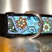 1.5" Adj. Quick Release Collar - Wildflower Blue Paisley - Med or Lge( Or as a Martingale)Choose web color
