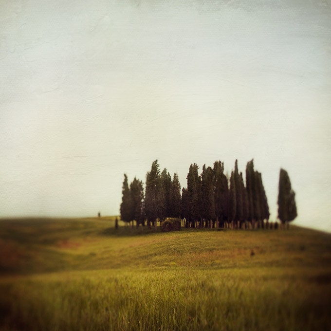Tuscany Photograph, Italy, Landscape Photography, Cypress Trees, Minimal, Rustic, Rural - Land of Sighs