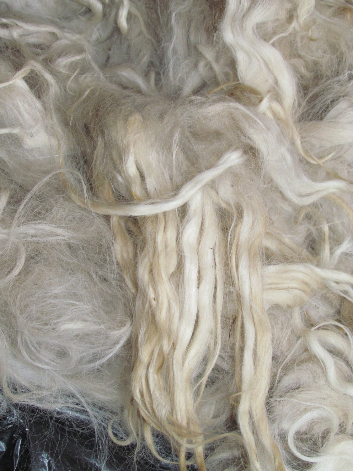 Raw alpaca fiber, suri alpaca, white 6 ounces