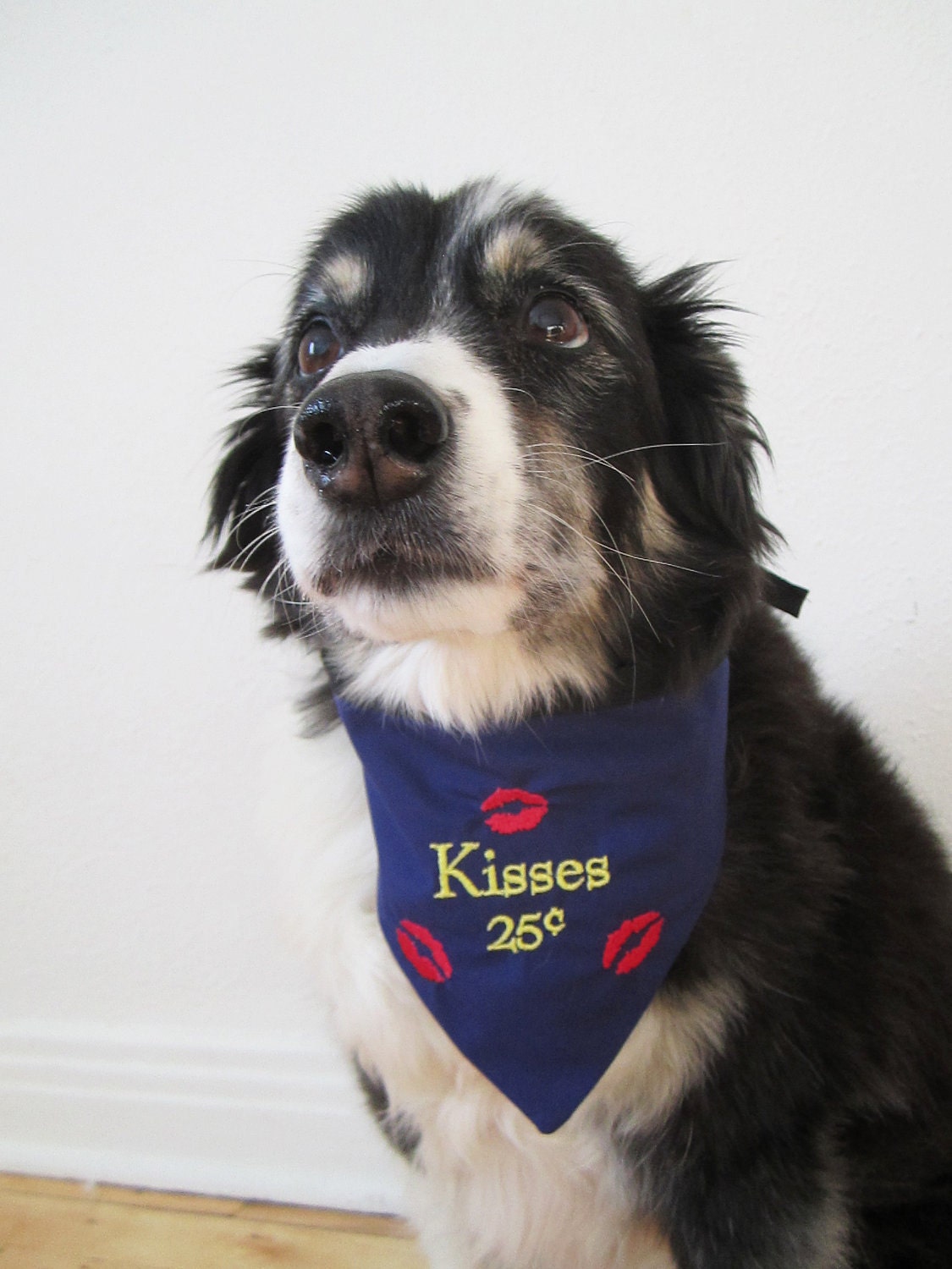 Kisses 25 cents Perfect Valentine Gift for the Ultimate Loving Dog reversible embroidered bandana for dogs, size MEDIUM