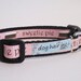 Sweetie Pie mini adjustable clip collar for the Dog That Has a Sweet Tooth