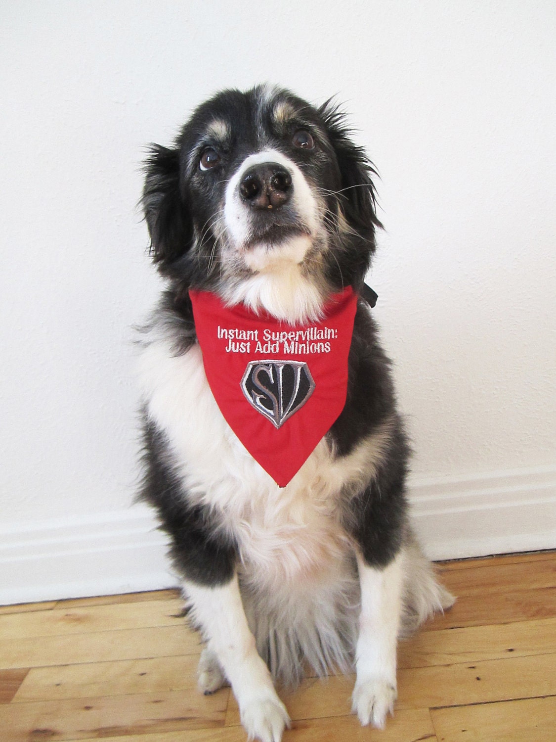 Supervillain Science Fiction Bad Dog reversible embroidered bandana, size LARGE