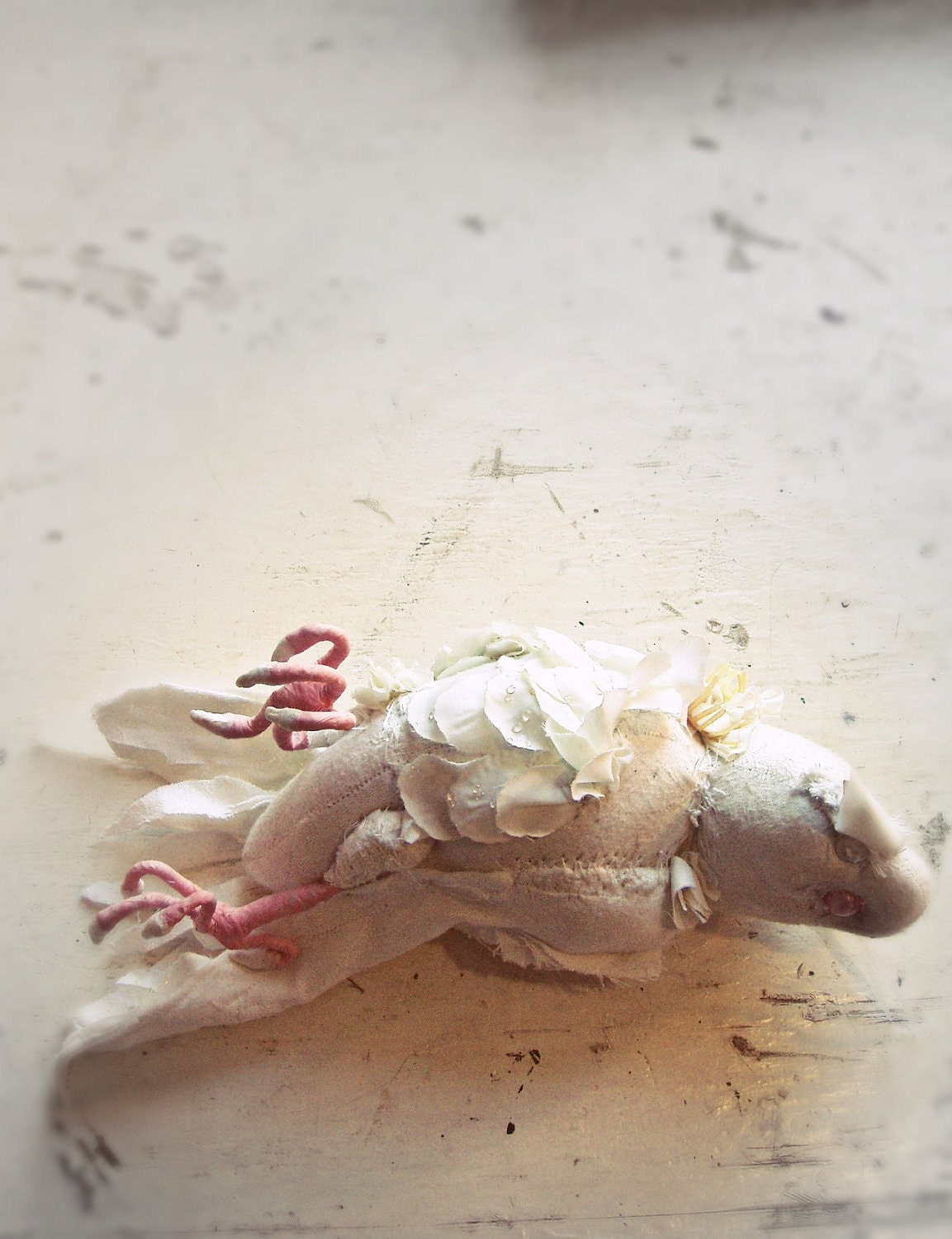 Large Dead White Parrot soft sculpture. Lifesize. Fake Taxidermy