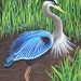 Great Blue Heron 8x10 Print