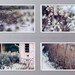 Covered in Ice - Story of 4 8x12 in Fine art prints