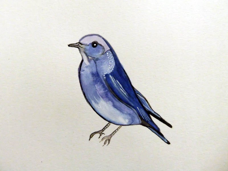 Original Watercolor Painting-Blue Bird