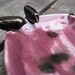 Raspberry Dish with Black Birds - double candy dish, jewelry holder, spotted