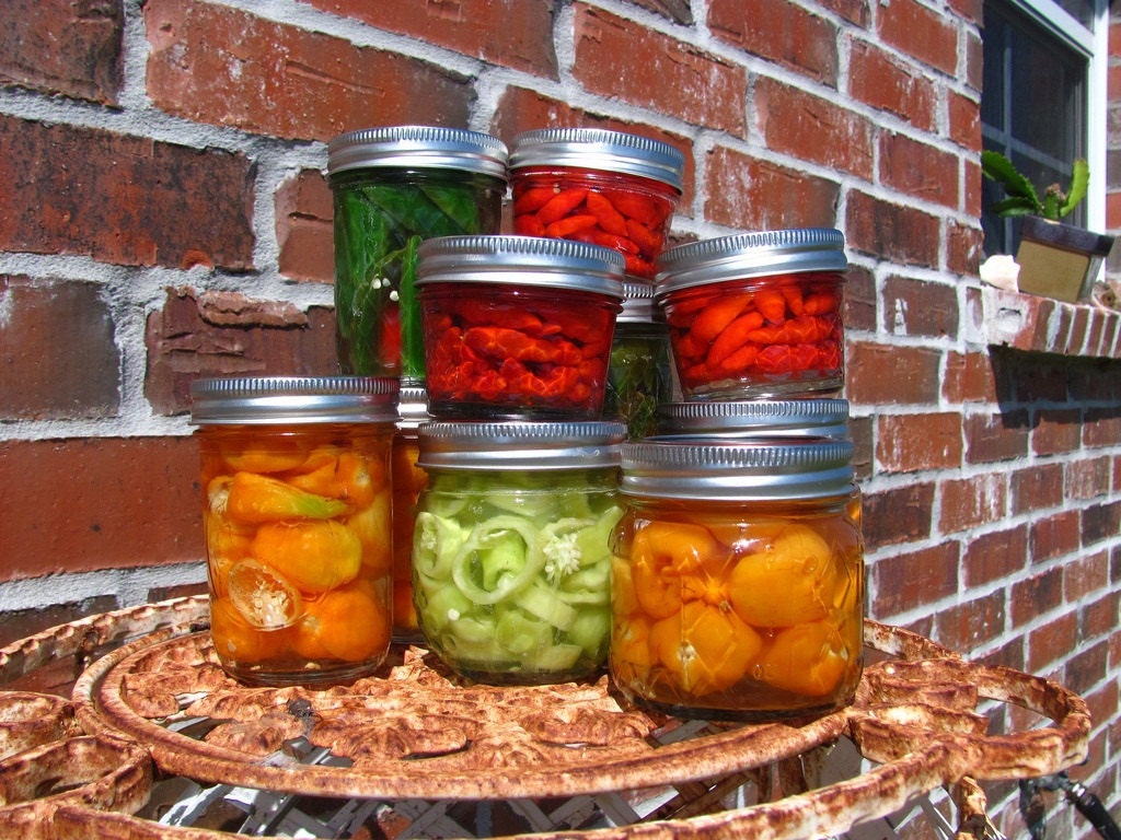 Pickled Habanero Peppers - 8 ounce jar