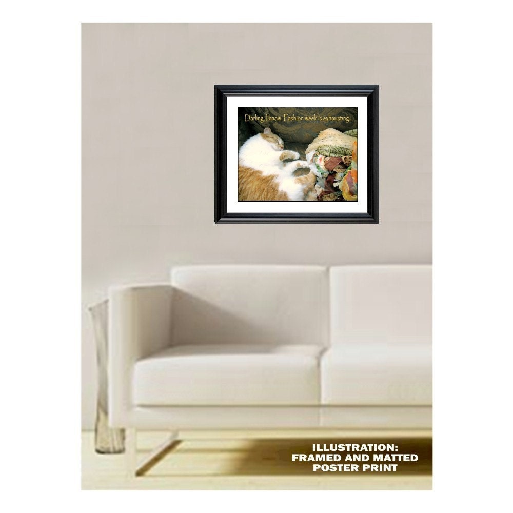 Photograph FASHION WEEK CAT, Darling, I Know. Fashion Week Is Exhausting. 20 x 16,  Poster Print, Fine Art Pet Photography