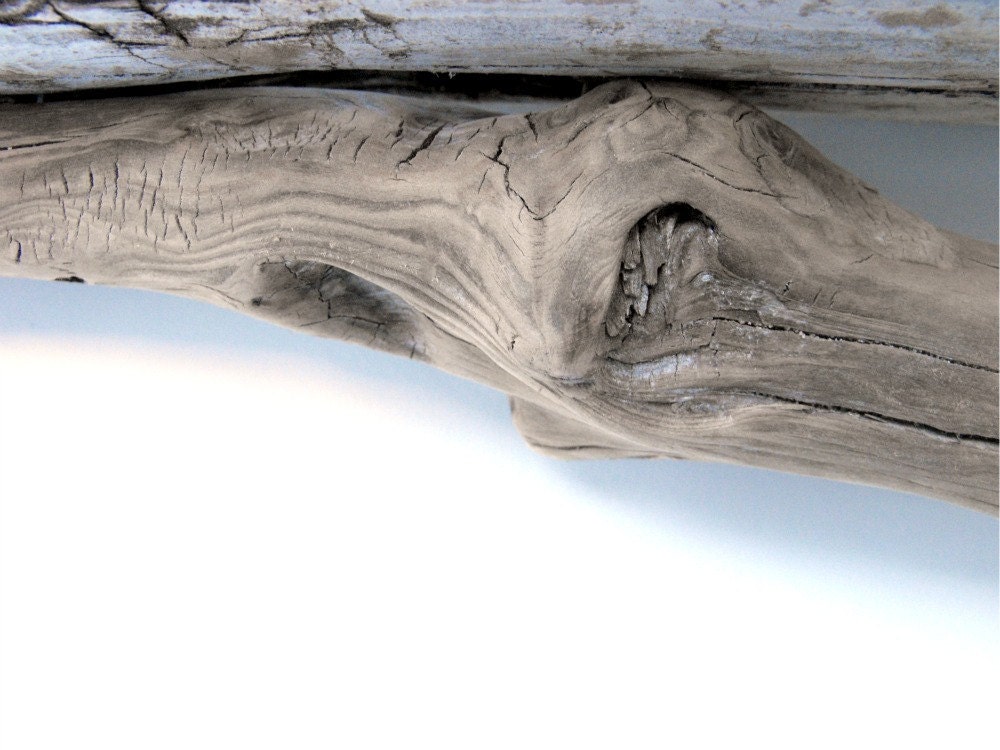 Driftwood Shelf No. 73