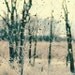 Fine Art Photography Dotted Landscape 8x8