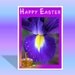 Happy Easter Greeting Card Purple Iris photo 5x7  5 x 7 Easter Card