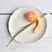 ceramic plate minimalist white ceramic dinnerware Urban Rustic series 7 1/2"
