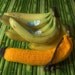Hand knitted banana cosy