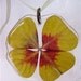 Necklace Lucky flower pressed flower preserved in pure transparent resin free shape base.