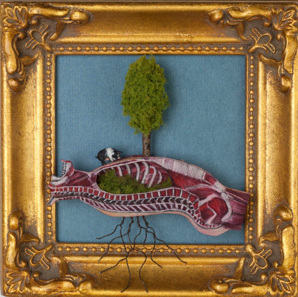 Pig Tree Anatomy