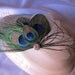 Stunning Peacock and  Ivory Goose Feather Fascinator