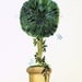 Cottage Garden Topiary Watercolor with Fairy Dragonfly