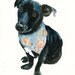 CUSTOM of your PET by DIMDI Original watercolor painting 8X10inchxxxxAll the animals that you wantxxxx