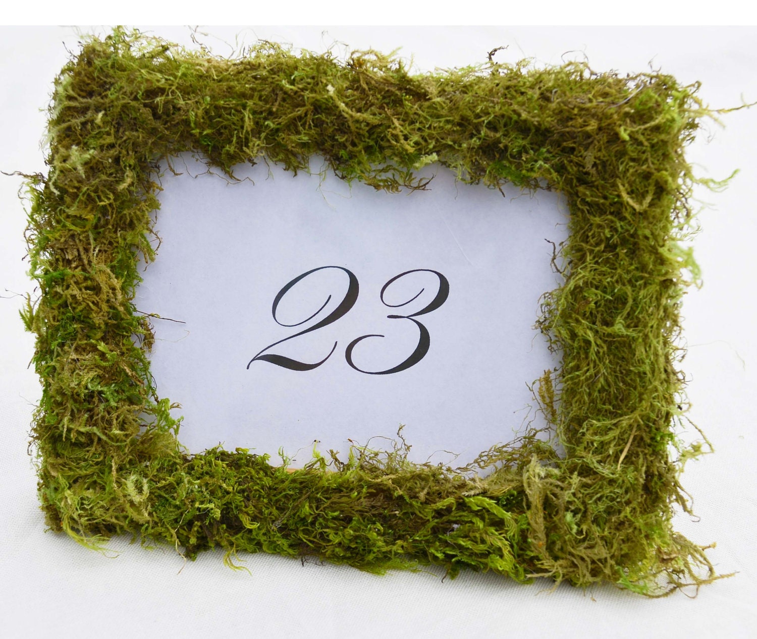 Moss covered picture frame