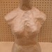 WO-MANNEQUIN - Torso Display necklaces, scarves and t-shirts