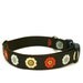 1" dog collar Primrose buckle dog collar