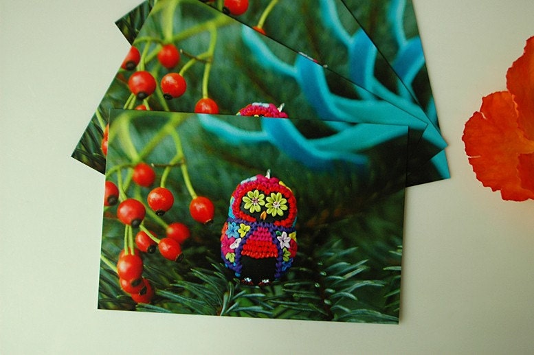 sweet fir tree fiesta owl cards - pack of 4