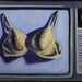 Boob Tube