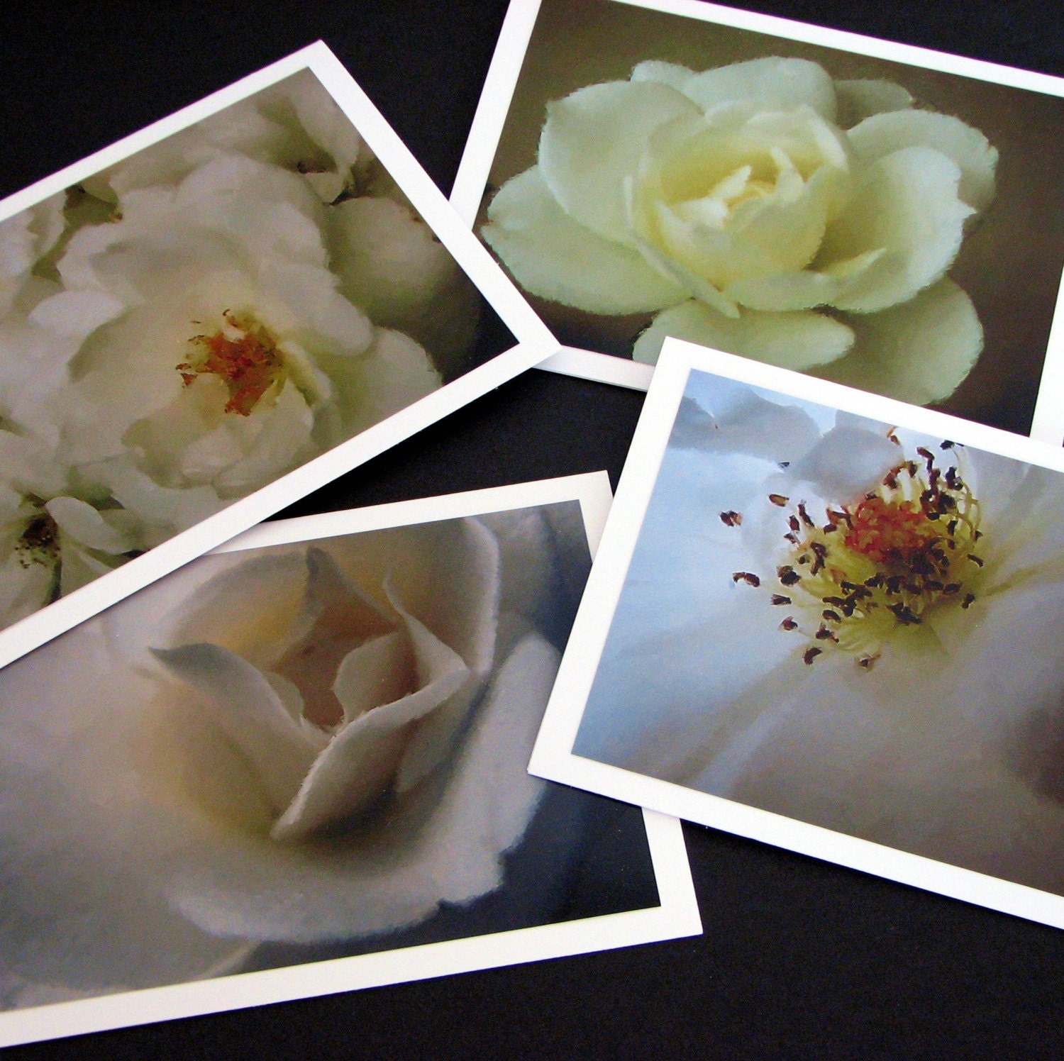 White Roses Plein Air Blank Note Card Set $15