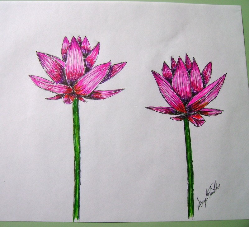 Lotus Flower Drawing From angeladesigns