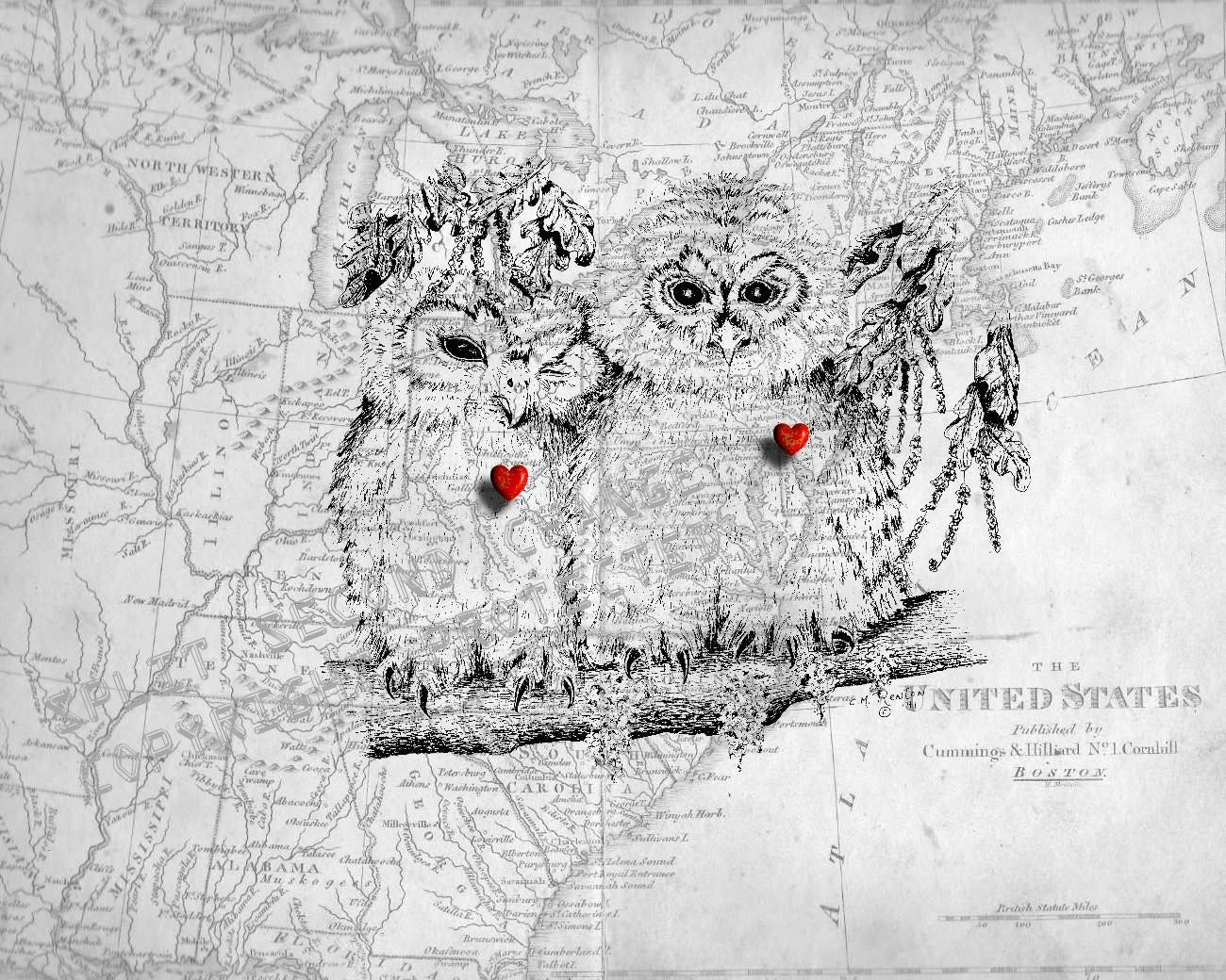 FOREVER LOVE の掲示板投稿写真＆画像