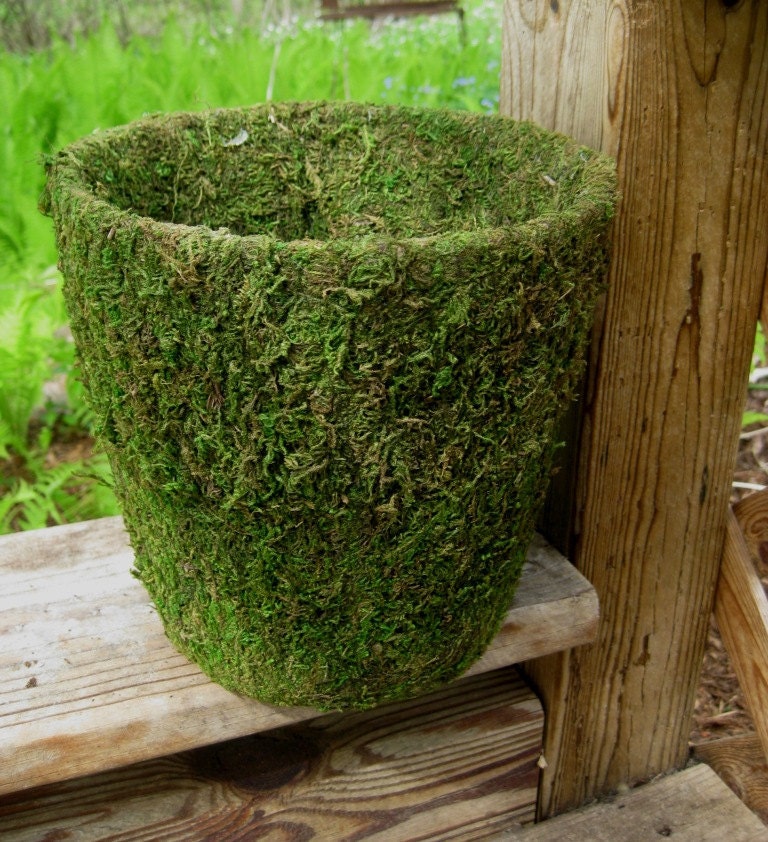 Moss Covered Pots for WEDDING CENTERPIECES Garden Parties
