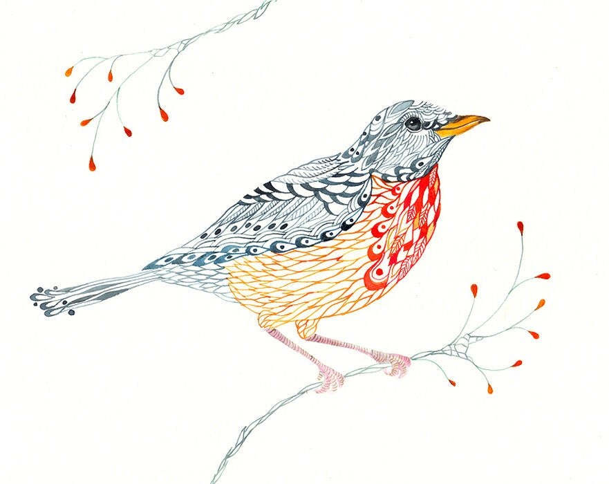 lacy robin