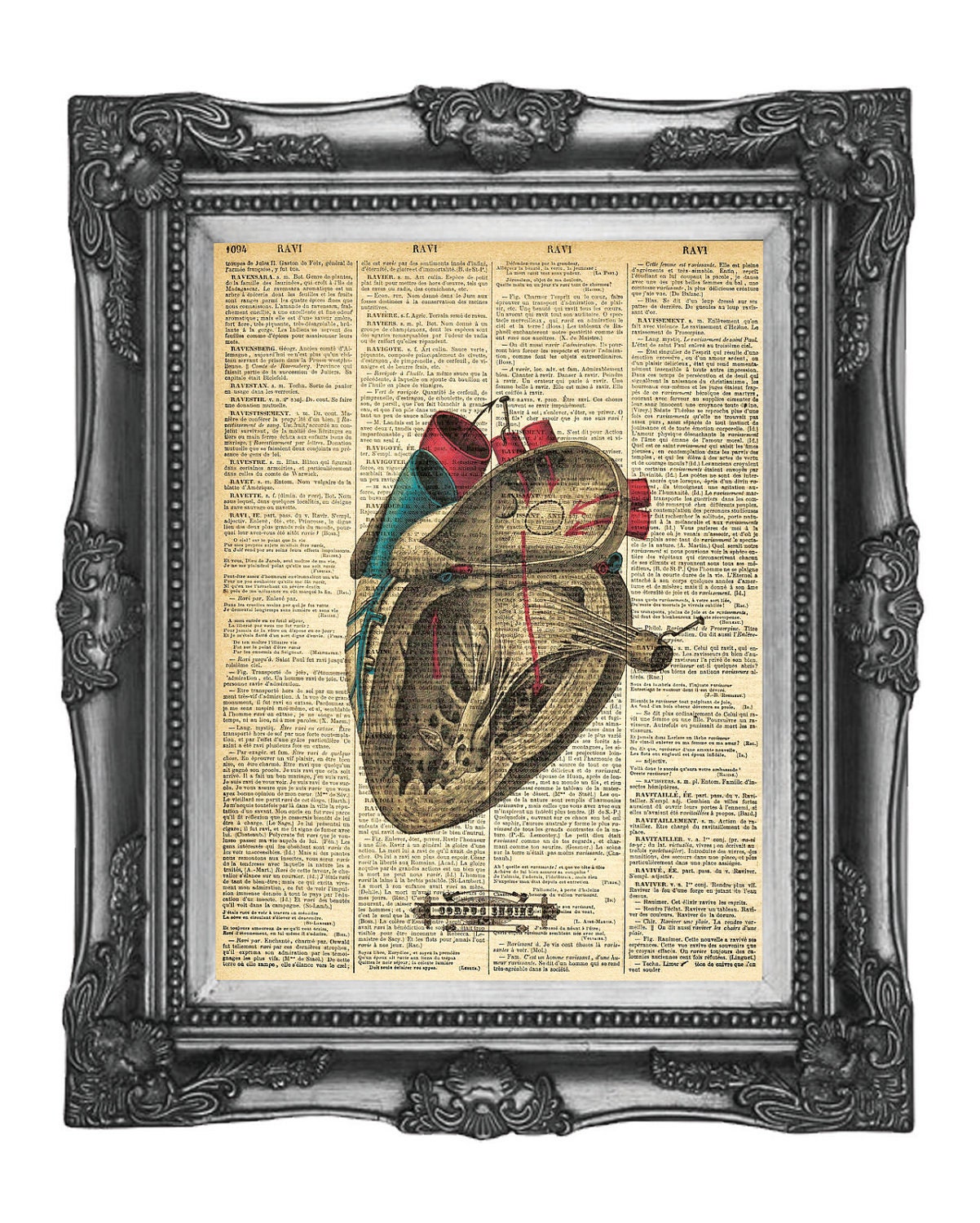 Human+heart+pictures+to+print