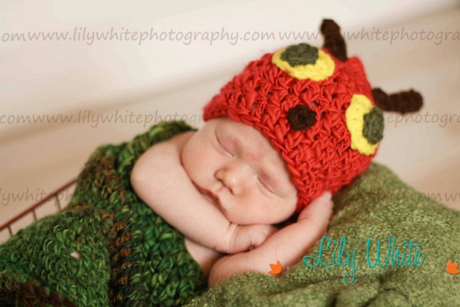 Hungry Caterpillar Cocoon