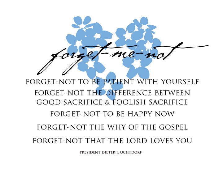 Forget-me-not - Photo Set