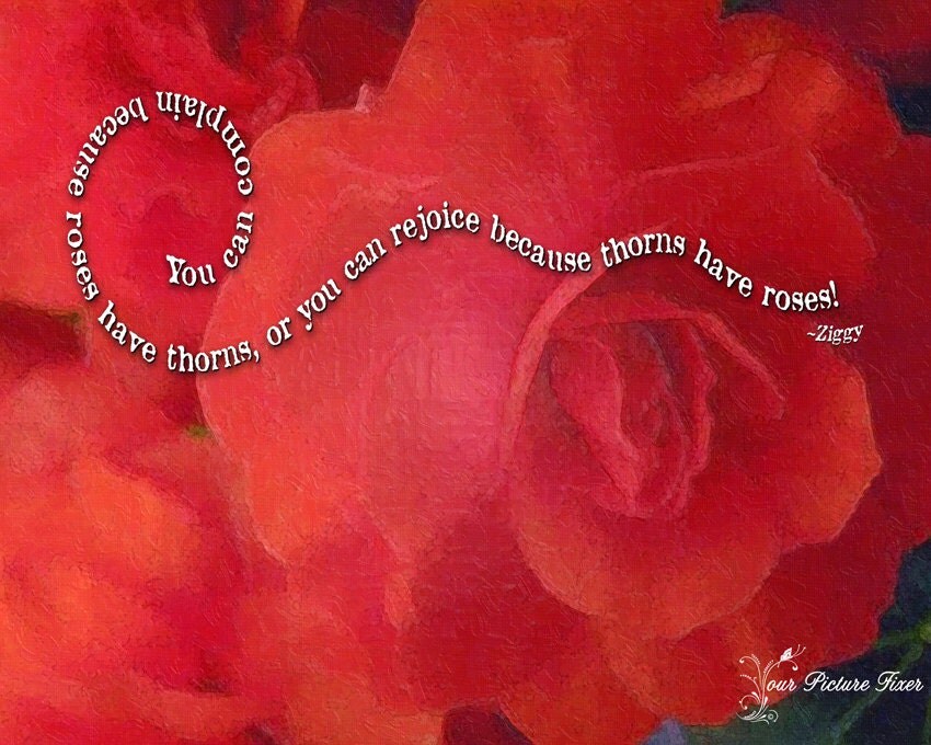 Roses and thorns artwork From YourPictureFixer