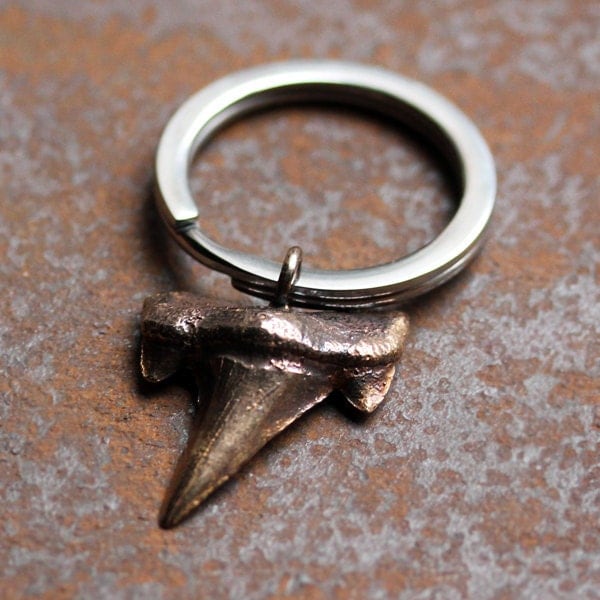 Bronze shark tooth key chain, mens gift-bronze, shark tooth, key chain, keychain, keyring, mens gift